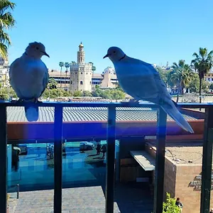 Habitación en casa particular Betis Del Oro España